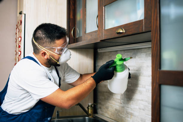 Best Residential Pest Control  in East Franklin, NJ