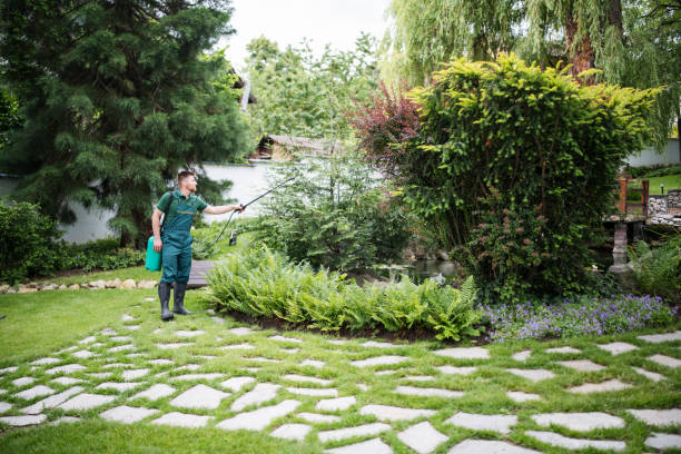 Best Exterminator Services  in East Franklin, NJ