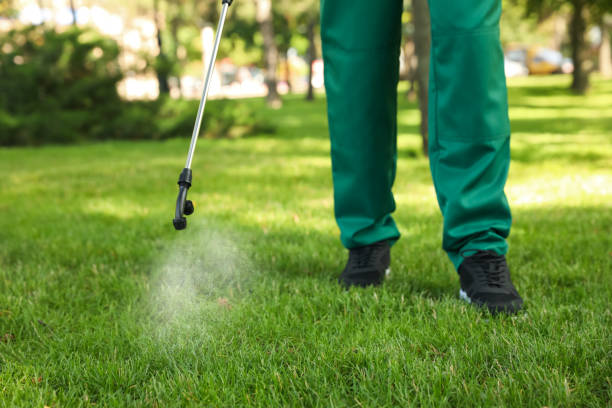 Best Best Pest Control Companies  in East Franklin, NJ