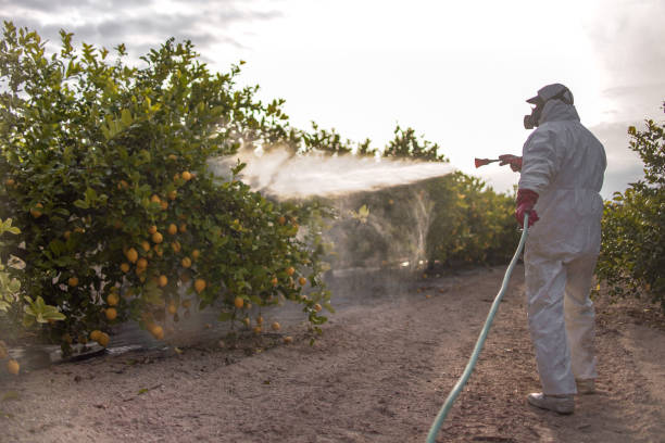 Best Pest Inspection Near Me  in East Franklin, NJ