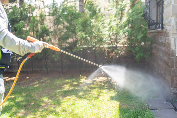 Best Commercial Pest Control Services  in East Franklin, NJ