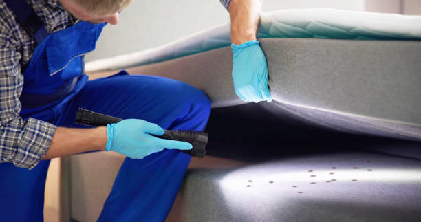 Best Ant Control Services  in East Franklin, NJ