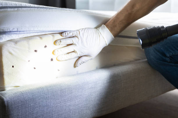  East Franklin, NJ Pest Control Pros