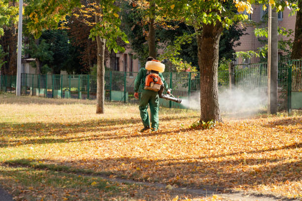 Best Termite Control Services  in East Franklin, NJ