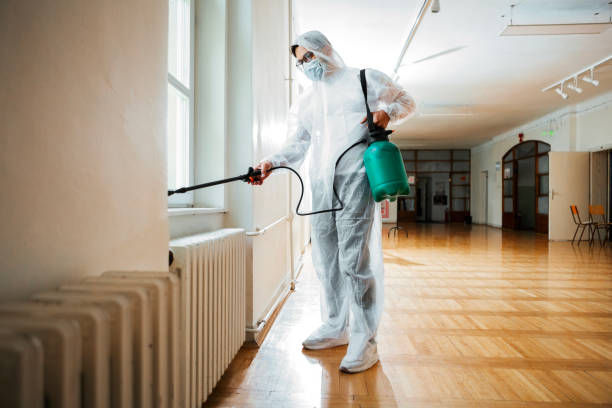 Best Mosquito Control Services  in East Franklin, NJ
